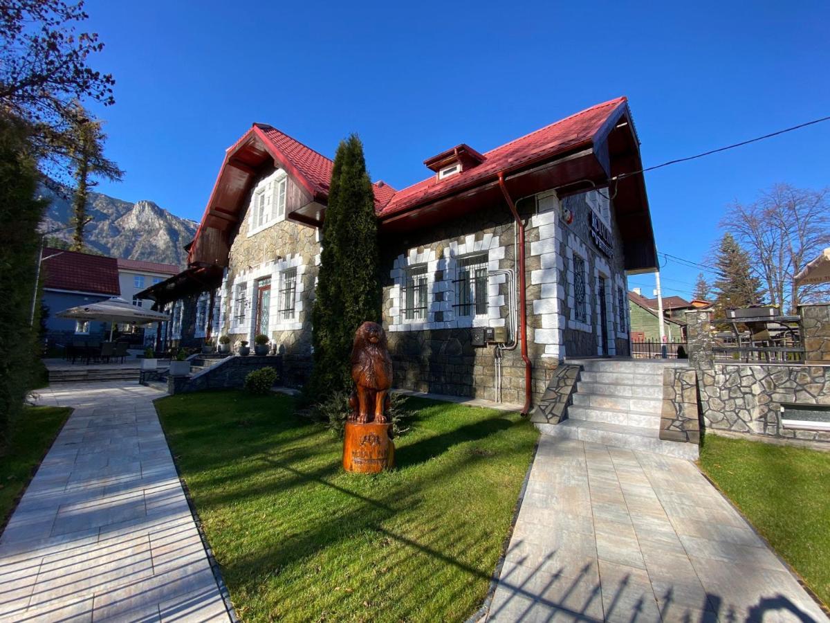 Royal Inn Busteni-Adults Only Kültér fotó
